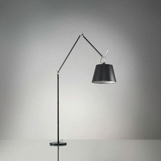 Tolomeo Mega Terra  TOLOMEO mega black/black// напольный E27 LED 1х21  х  Tolomeo Mega Terra